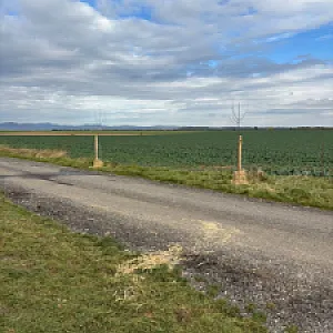 FB_IMG_1765478753895