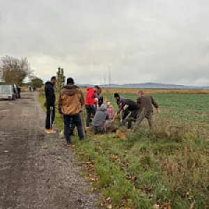 FB_IMG_1765478765240