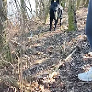 FB_IMG_1772909947438