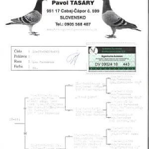 MVDr. Ľubo Bodnár - ukončenie chovu - 3