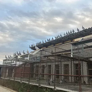 Holubnik a voliera - 4