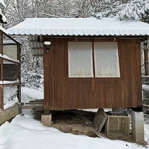 Holubnik a voliera - 3