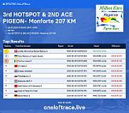 3rd HOTSPOT & 2ND ACE PIGEON- Monforte 207 KM