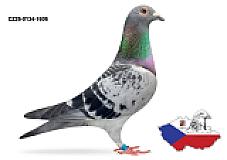 CZ26-0134-1606