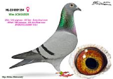 NL-23--9081354upr
